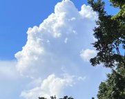 左贡天气预报,左贡7天天气预报,左贡15天天气预报,左贡天气查询